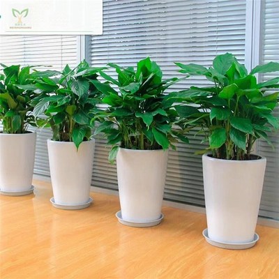 告別綠意 優(yōu)化產(chǎn)品刪除頁，提升花卉綠植租借用戶體驗(yàn)